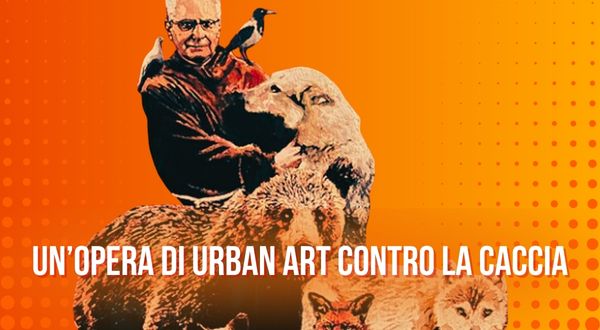 Murales a tema animali - Mattarella a Roma
