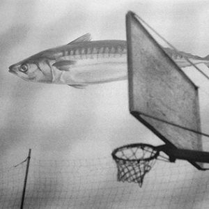 Fotografia di Roberta Baldaro 2