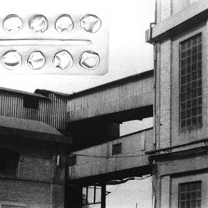 Fotografia di Roberta Baldaro 3