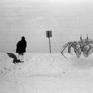 Fotografia di Roberta Baldaro 5