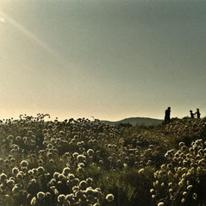 Fotografia - Alessandra Canteri 4