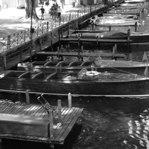 Fotografia - Alessandra Vittoria Zanchetta 3