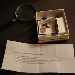 Pittura - Claudia Caldara 4