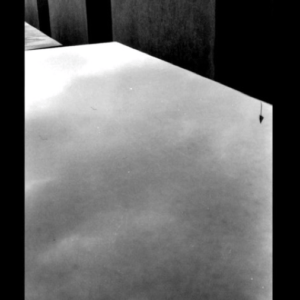 Fotografia di Elena Buscemi 1