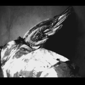 Fotografia di Elena Buscemi 5