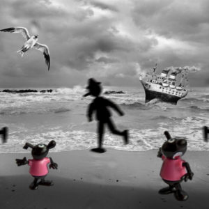 Fotografia di Stefania Piccioni 4