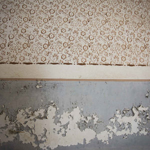 Fotografia - Alessandro Capurso 5