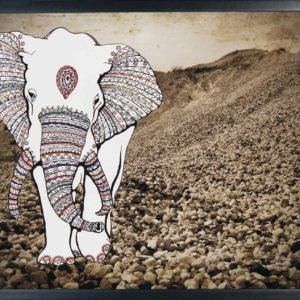 Fotografia di Mirabito 3