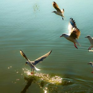 Fotografia Francesco Ruiu 3