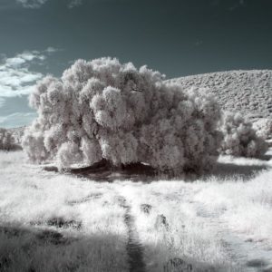 Fotografia Francesco Chiot 1