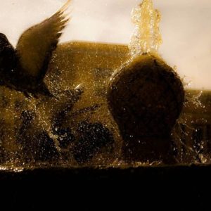 Fotografia Francesco Ruiu 1