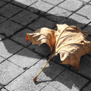 Fotografia Giuliano Verne 5