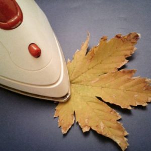 Fotografia Giuseppe Paradiso 3