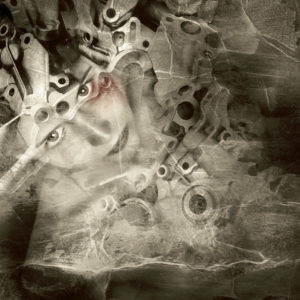 Fotografia di Stefania Santarcangelo 1