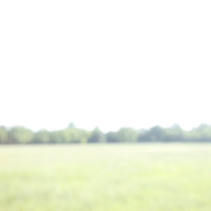 Fotografia - Roberto Simonte 1