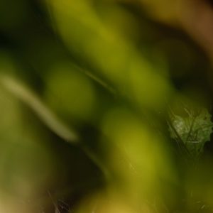 Fotografia - Roberto Simonte 3