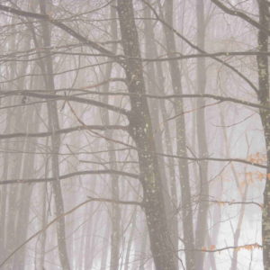 Fotografia Arianna Colaiacovo 4