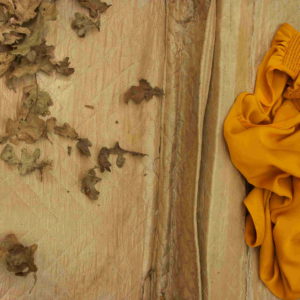 Fotografia Arianna Colaiacovo 5