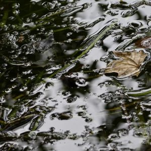 Fotografia Caterina Farina 2