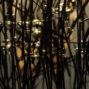 Fotografia Caterina Farina 3