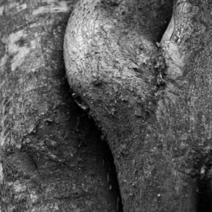 Fotografia Armando Pezzarossa 4