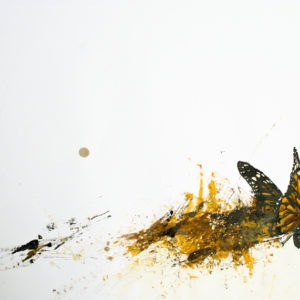 Pittura - Giovanni Bardi 1