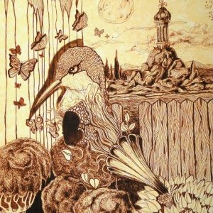 illustrazione Il canto del colibrì