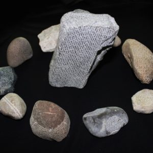 Pittura - Carolina Corno 5