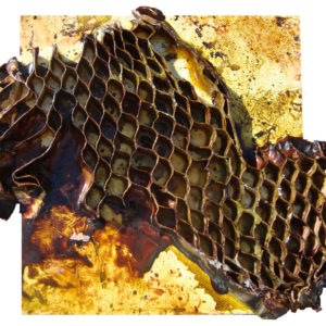 Scultura - Irene Russo 2