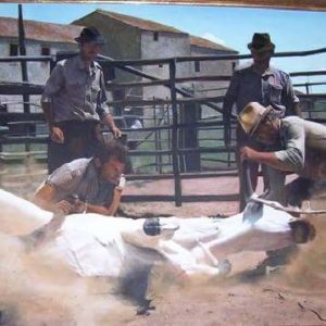 Pittura - Milena Via 1